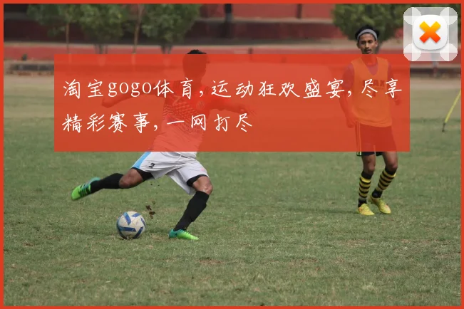 淘宝gogo体育,运动狂欢盛宴,尽享精彩赛事,一网打尽